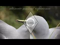 THE HARDKISS - Антарктида (Agilar Remix) - Explore Marion Island Video