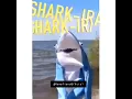 SHARK IRA meme meme