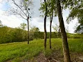 Lots And Land for sale - 504 Shagbark Trail Richmond KY 40475