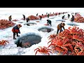 Why Alaska s King Crab Industry Is Worth 5 Billion - The Deadliest Catch in America