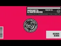 David Guetta & Martin Solveig - Thing For You (Agoria remix)
