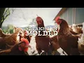 JJ Grey & Mofro - Rooster (Official Lyric Video)