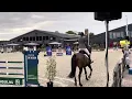 Download Lagu Noah km v tangelo van de Zuuthoeve x Triomphe de muze @ 1m30 jumping Tolbert 6e prijs 