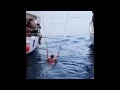 IMG 6590