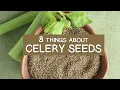 8 Things About Celery Seeds and Unique Uses