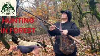  this forest hunt gets dangerous fast dogs vs wild animals