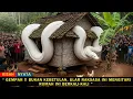 Lagu DI LUAR NALAR‼️Fenomena Ular Raksasa Mengitari Rumah di Banyuwangi Bikin Merinding