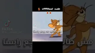 خلاص خلاويص خلصنا 