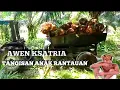 Download Lagu Lagu anak rantau sedih, (cipt:awen ksatria cover afgiantara video klip by arma)