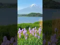 Download Lagu Alone in the Mountains – Nature's True Power 🏔️❄️ #nature  #findyourpeace #travel #forestwhispers