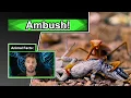 Can this monster hurt you 10 COOL PRAYING MANTIS FACTS