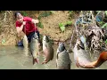 30 days of trapping fish and fishing streams - pet care, cooking, Farm Life