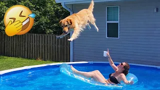You Laugh You Lose ๐น Funniest Cats and Dogs 2026๐คฃ ๐ #animals #funnycats #funnydogs
