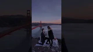 انتي مخدرات    دندنها