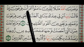 سورة التحريم ١٠ ١٢ QURAN TEACHER AR 