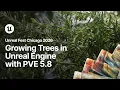 Growing Trees in Unreal Engine PVE 5 8 New Features and Roadmap Unreal Fest Chicago 2026