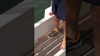 Oops! 🤣🤣 Couldn’t stop laughing! 🤣🤣 my nephew wasn’t impressed!🤣🤣 #sailing #sailingboat #żeglarstwo