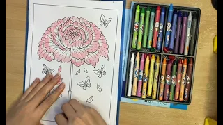how to color 342