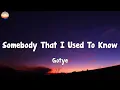Gotye - Somebody That I Used To Know  (Lyrics)