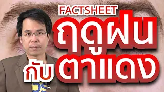 โรคตาแดงเกิดจากสาเหตุใดบ้าง