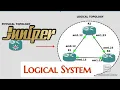 Juniper Logical System