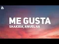 Download Lagu Anuel AA, Shakira - Me Gusta (Letra / Lyrics)