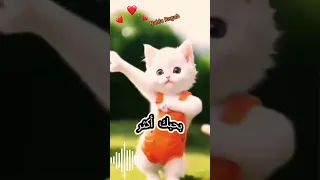 اسماء ياقمر 