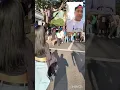 Feriado em Sao Paulo Avenida Paulista 09