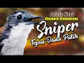 Download Lagu MASTERAN SNIPER TEPUS DADA PUTIH NGEBREN GACOR