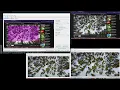 Screen sharing Java system based on my own streaming protocol demo