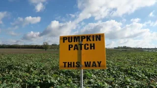 Garver Farm Pumpkin Patch - Middletown Ohio 2016