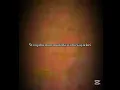 Download Lagu Taweel al-Shawq Nasheed lyrics. Nasheed. #nasheed #lyrics #taweelalshawq
