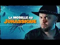 Download Lagu La Moselle au jurassique : À quoi ça pouvait ressembler ? Je vous montre !
