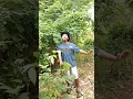 Download Lagu mau ketawa takut dosa masteran burung kicau burung hiburan warga+62 lucu funny comedy