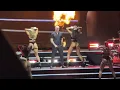 05 16 2026 - Pitbull