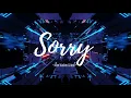 Sorry - Alan Walker and Isak Lyrics