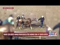 Nearly 200 horses banned from racing after showing signs of severe distress