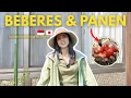 Download Lagu Vlog santai sebelum ke INDONESIA 🇮🇩😆