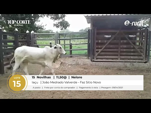 Preview de vídeo - zfgpnm1vEQk