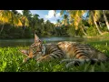 Download Lagu Advertentievrije muziek voor katten 🐾 | Rustige slaapmuziek voor katten om angst te verlichten en...