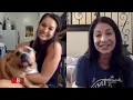 At Home With Our Family - Roscoe Pet Adoption