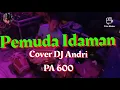 Lagu Cek Sound Pemuda Idaman Cover DJ Andri CM Music