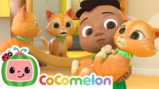 Cody's Cat Meets Her Mirror Reflection! 🐈🪞| CoComelon Nursery Rhymes & Kids Songs | Cody Time