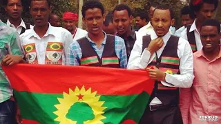 New Maammoo Gadaa Song 