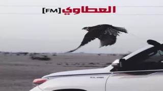 شيلة   قل للضعوف الي تفتش ورانا   جديد ٢٠١٦    دندنها