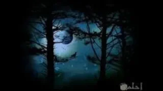 بندقية جامو الاسبانية من الرماية انتظروي كل جديد 