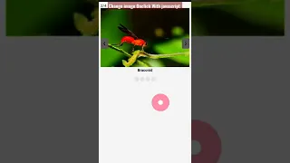 How To Change Image Onclick On Javascript Change Image Html