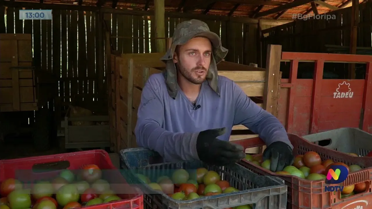 Made In Santa Catarina: conheça a rotina de quem trabalha com agricultura familiar em SC