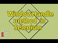 How to Handle Multiple Windows in Selenium getWindowHandle and getWindowHandles