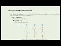 Unified Load Balancing Strategies for Enhanced Cloud Computing Solutions
